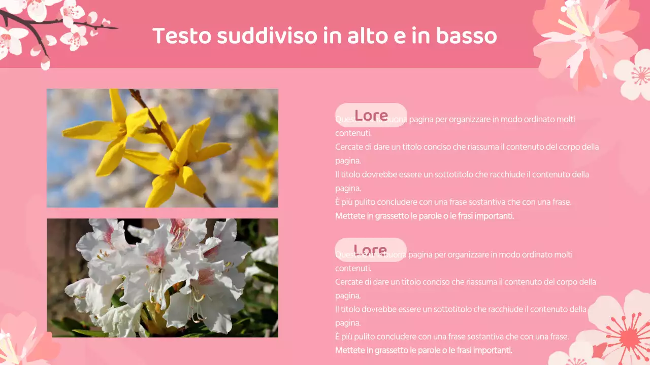 Una bella pianta floreale primaverile di amore e gratitudine in rosa e blu cielo