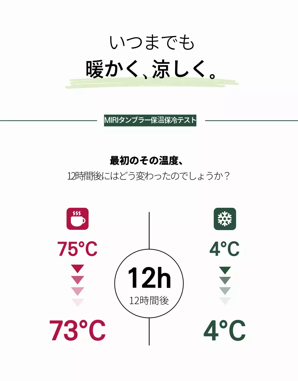 緑 モダン タンブラー チラシ 詳細ページ