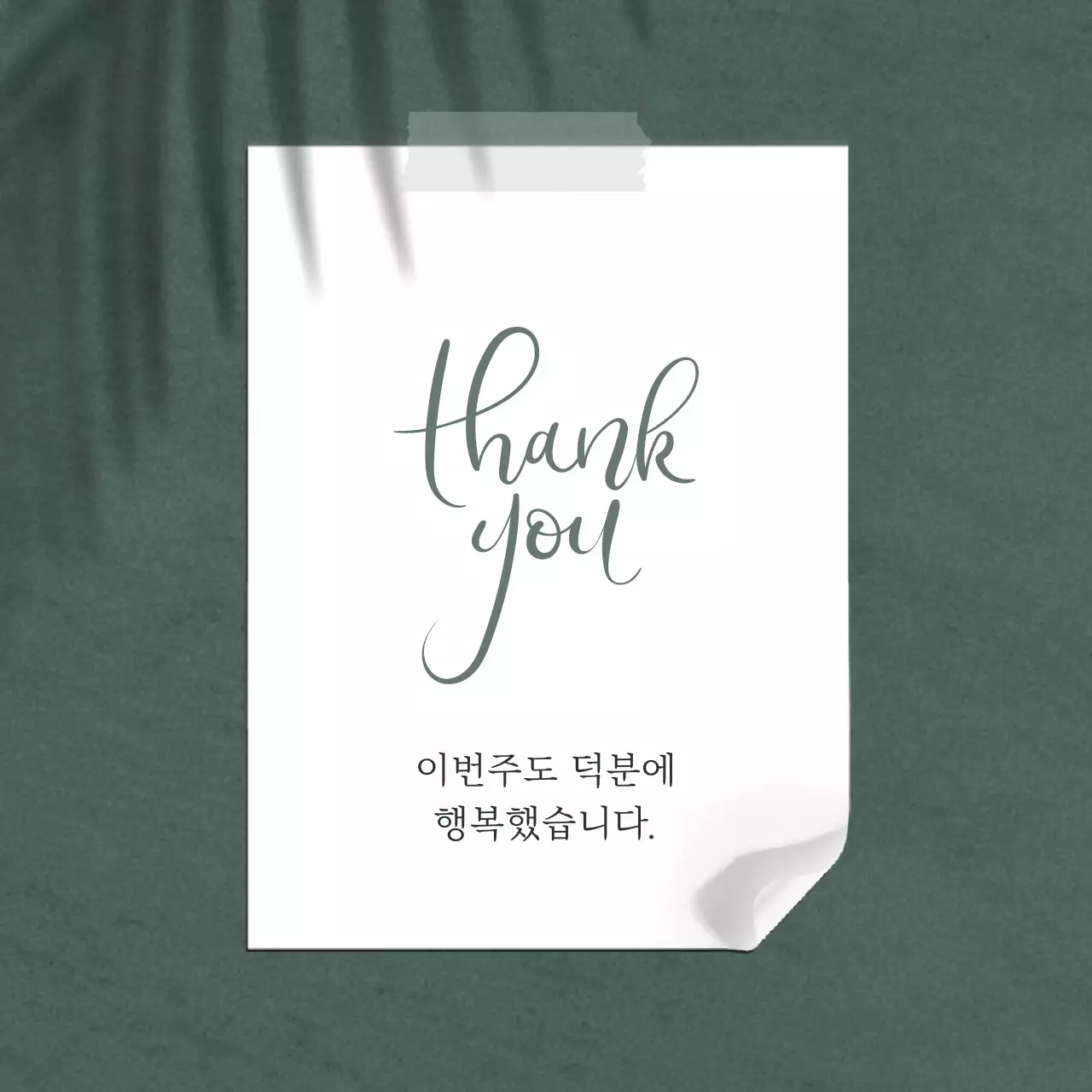 초록색과 흰색의 심플한 카페 공지