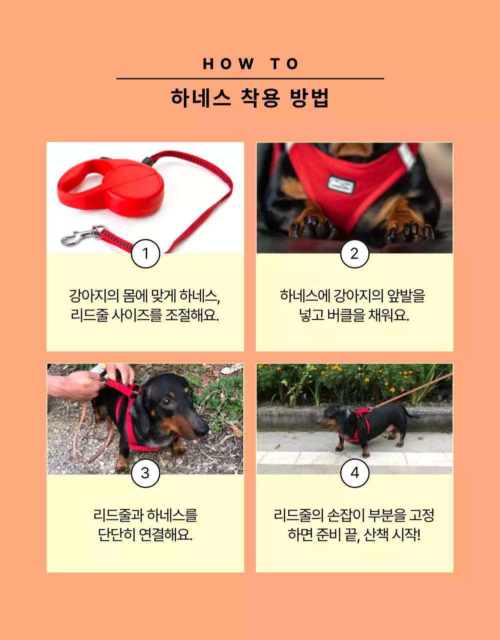 노랑과 주황색의 심플한 강아지 리드줄 홍보