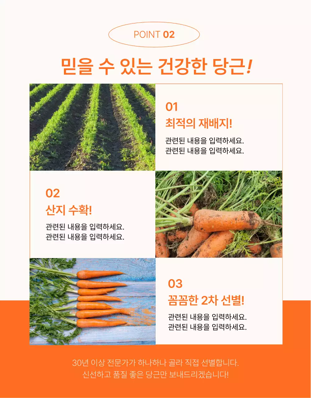 주황색과 초록색의 심플한 당근 판매 홍보