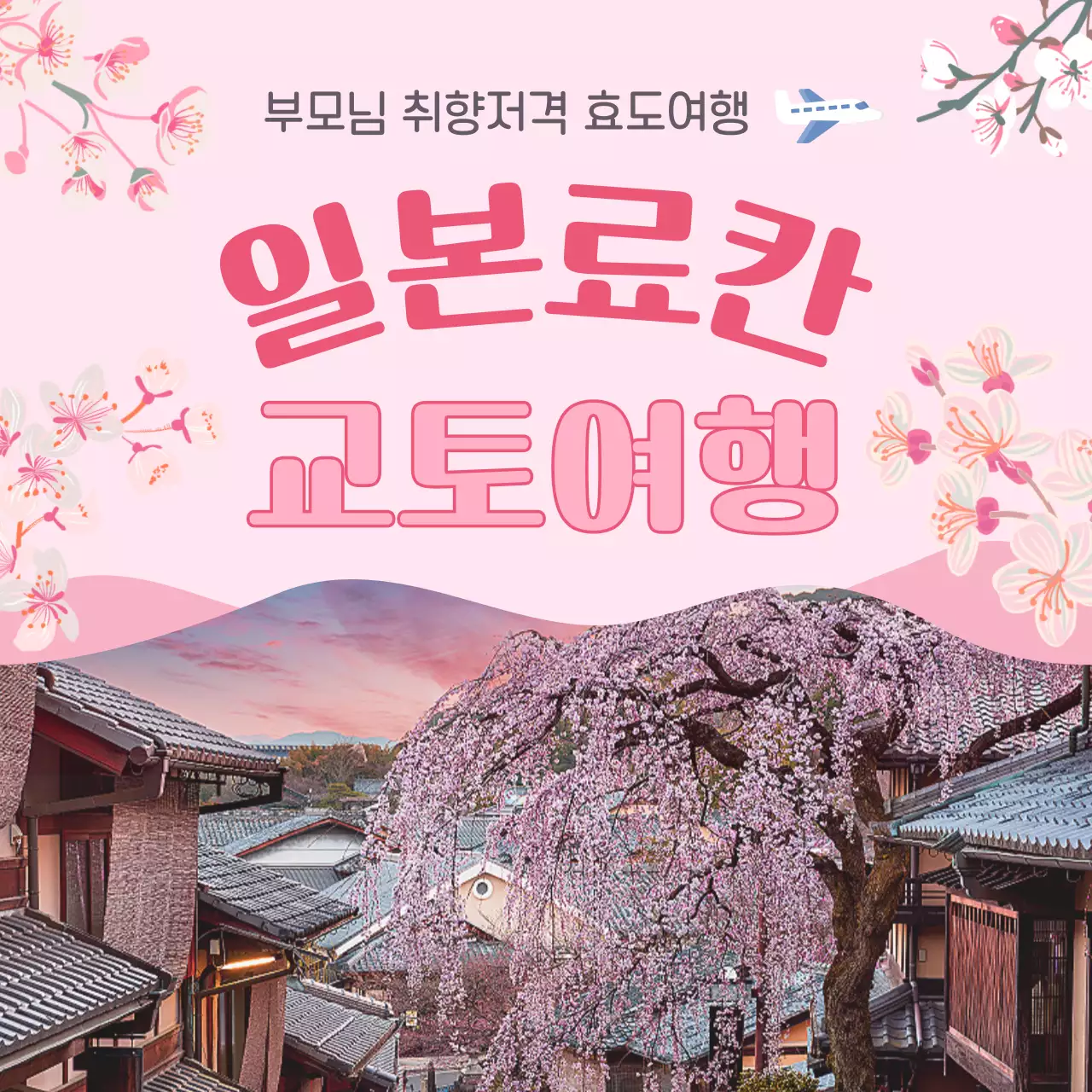 핑크색과 핫핑크색의 동양풍의 일본 효도여행 상품 홍보