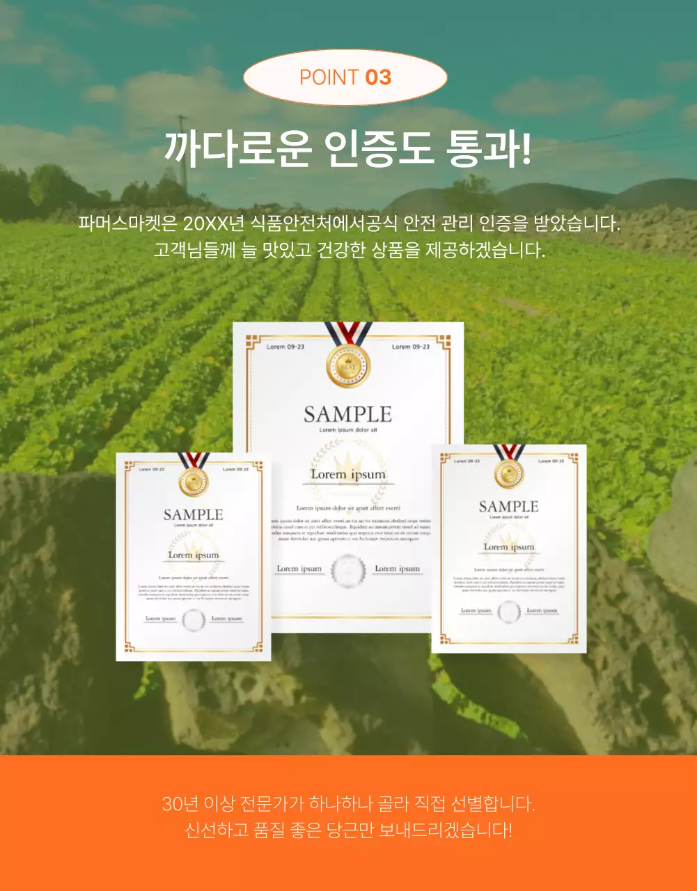 주황색과 초록색의 심플한 당근 판매 홍보