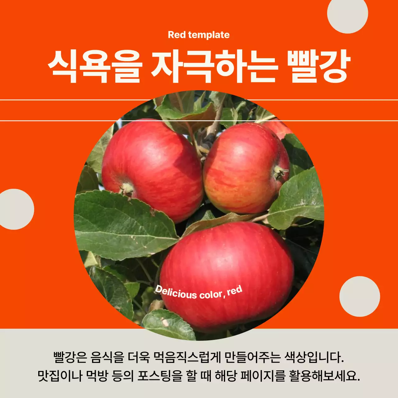 무지개빛의 모던한 템플릿 뉴스레터