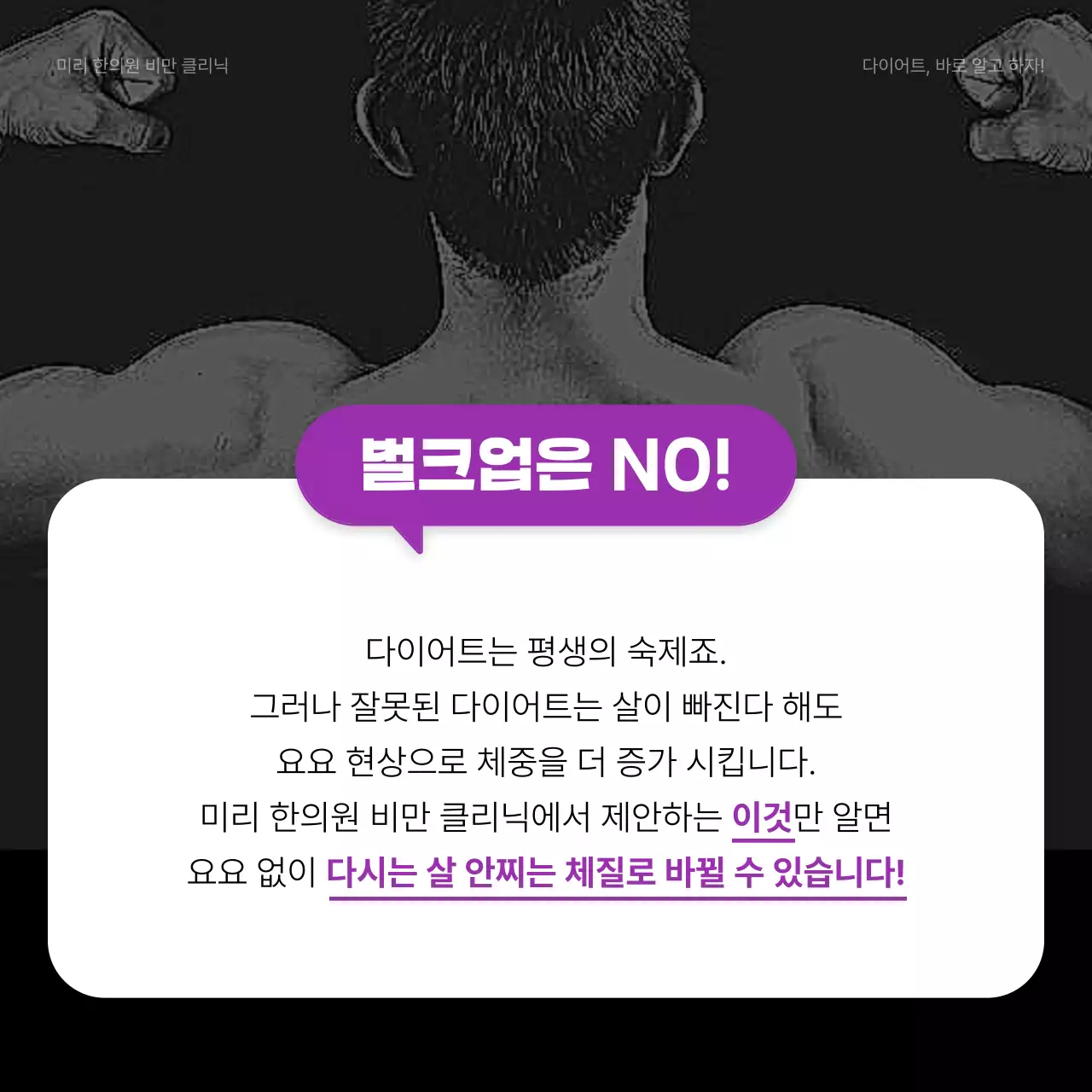 보라색과 연보라색의 모던한 다이어트 정보
