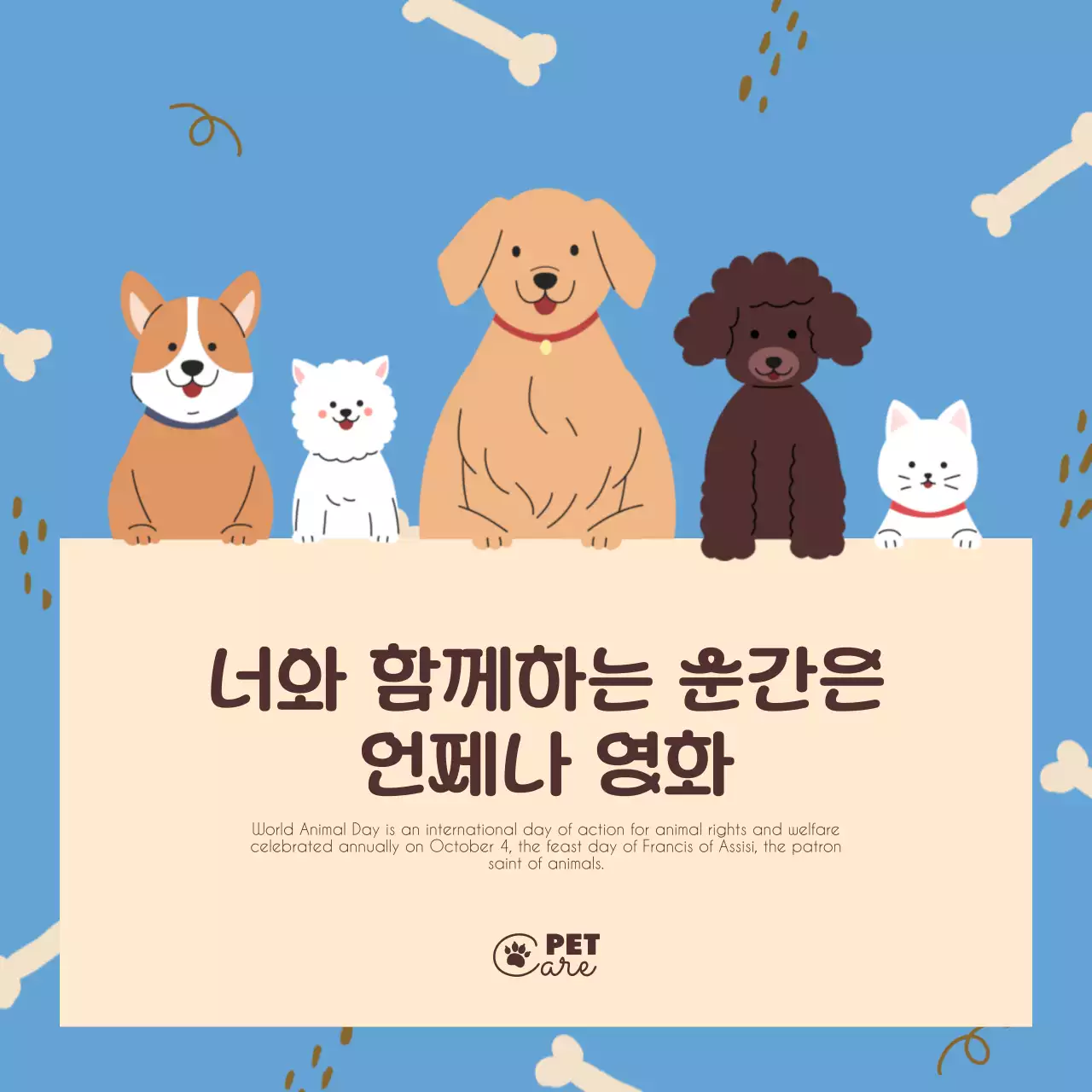 파랑과 베이지의 아기자기한 감성문구 펫케어서비스 광고