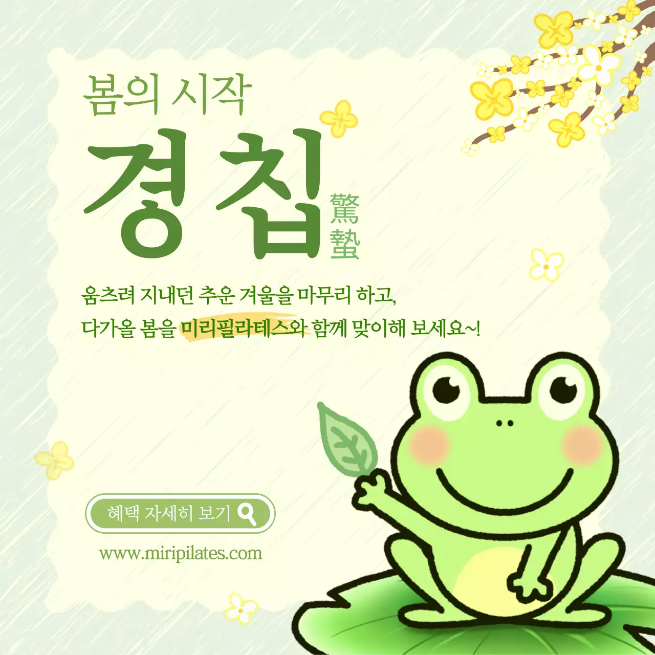 노란톤의 귀여운 경칩맞이 필라테스 혜택 광고