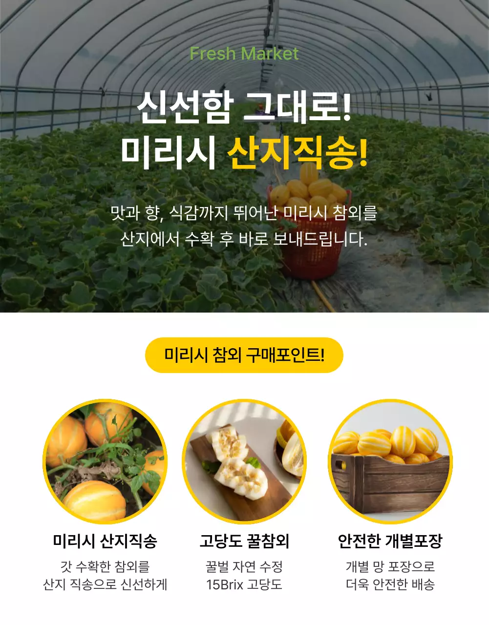 노랑의 심플한 신선식품 과일 홍보