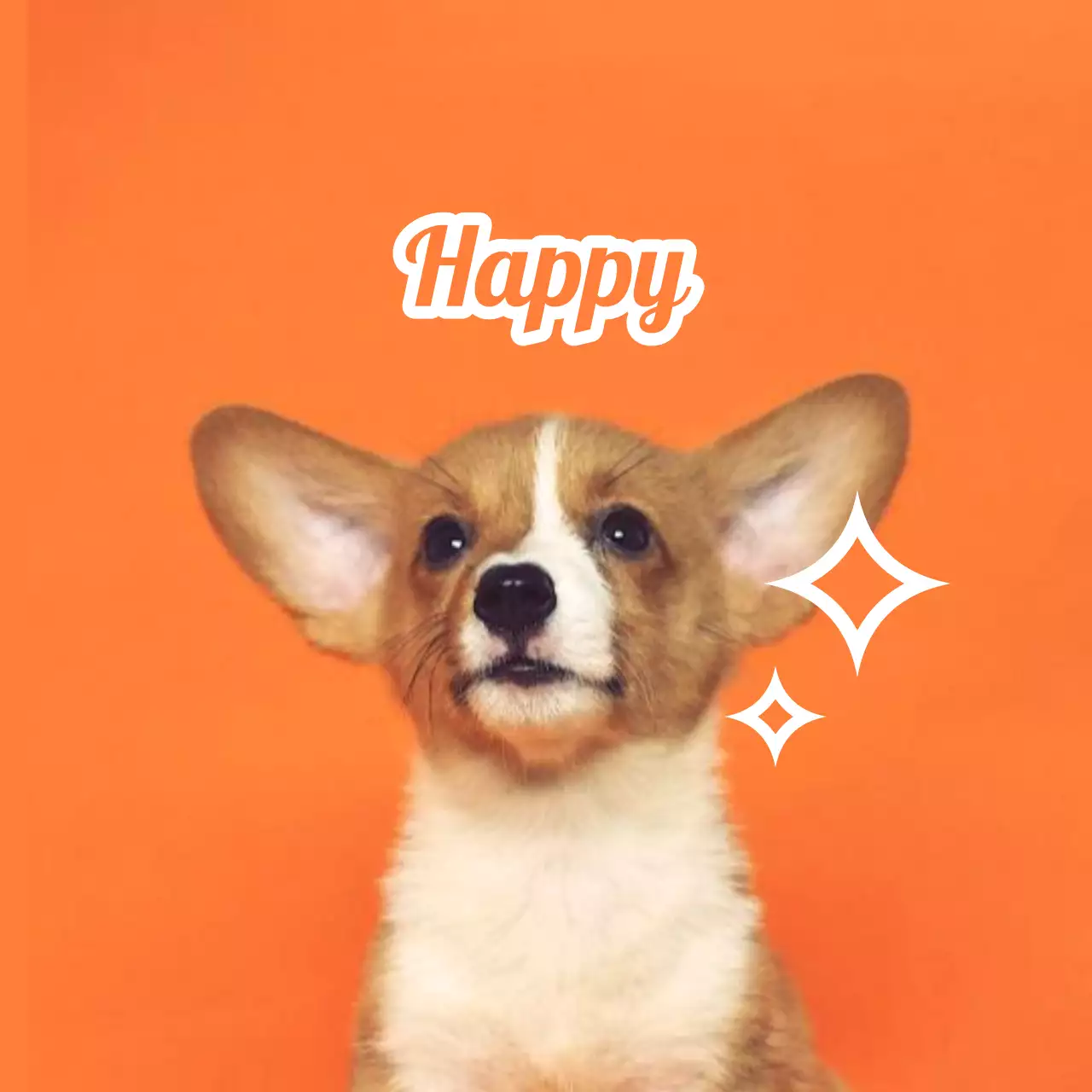 귀여운 동물 사진을 활용한 이름표 디자인