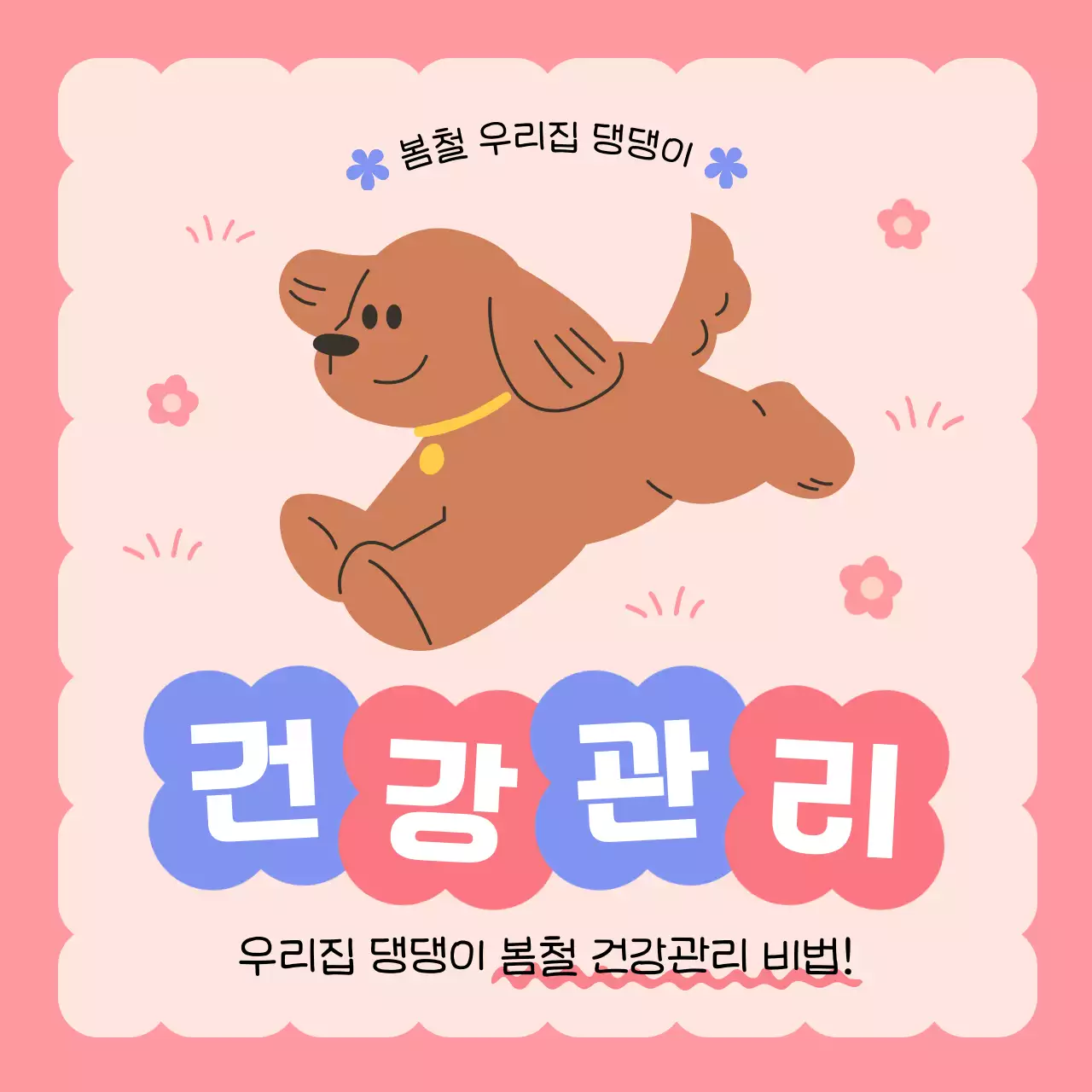 핑크와 파랑의 키치한 강아지 건강관리 정보