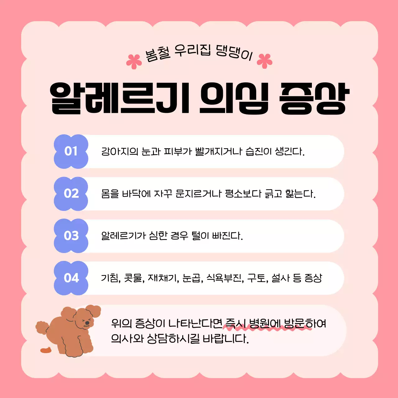 핑크와 파랑의 키치한 강아지 건강관리 정보