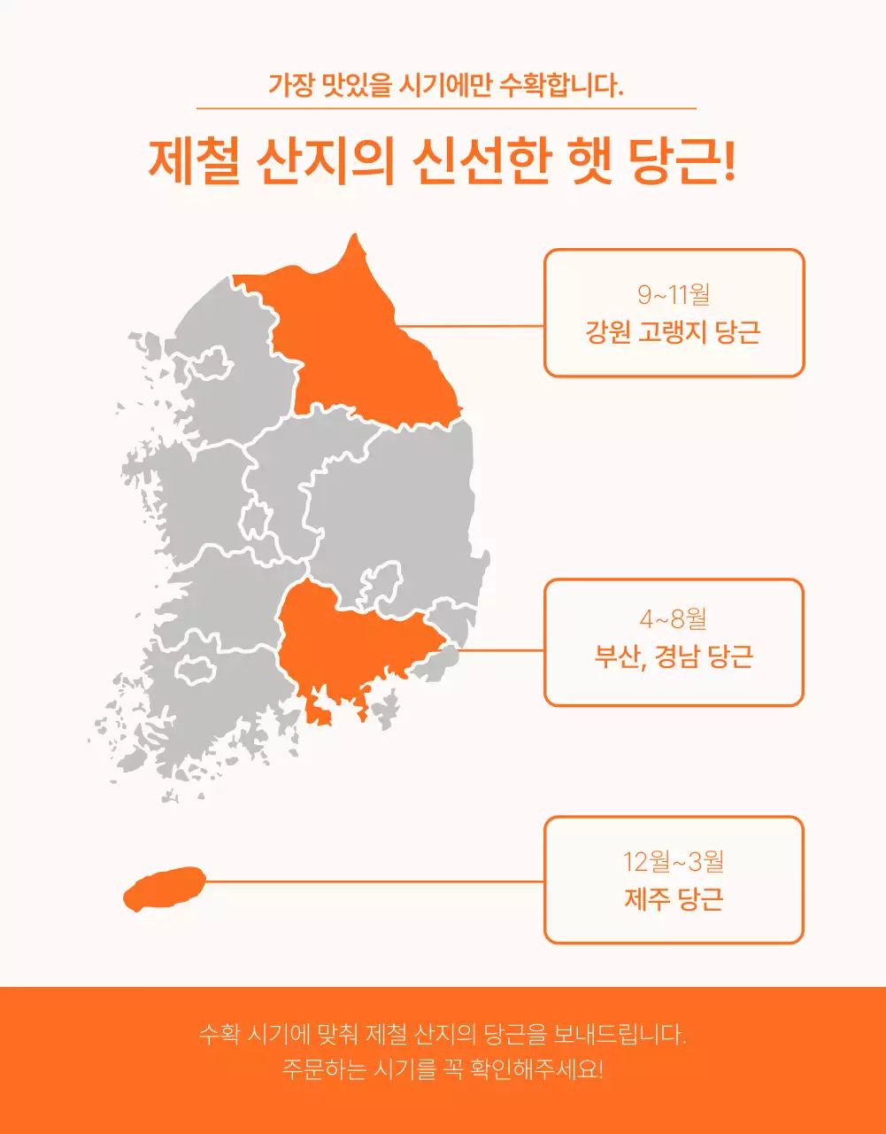 주황색과 초록색의 심플한 당근 판매 홍보