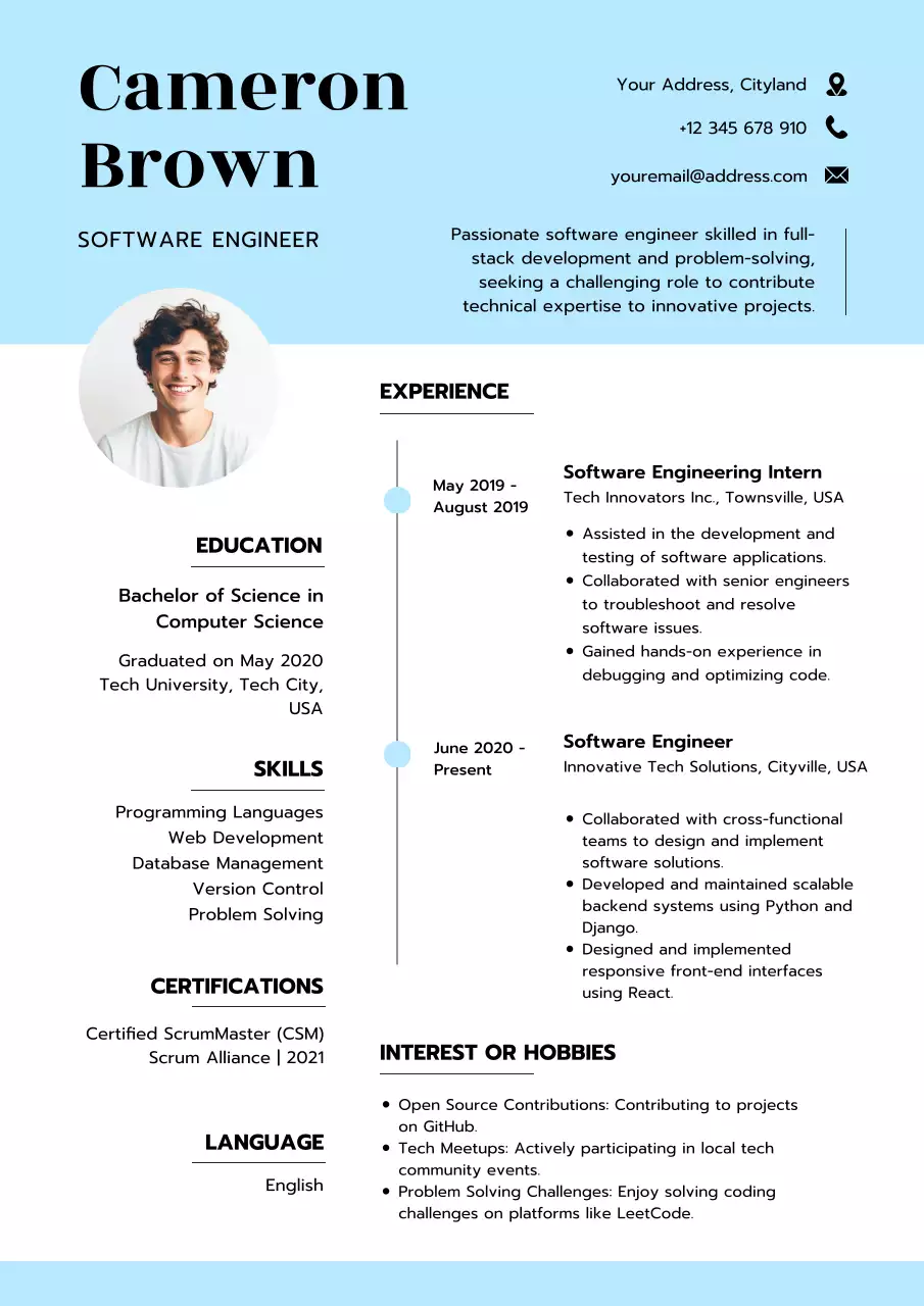 Blue Professional Software Resume