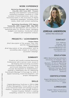 Grey Professional Resume Document