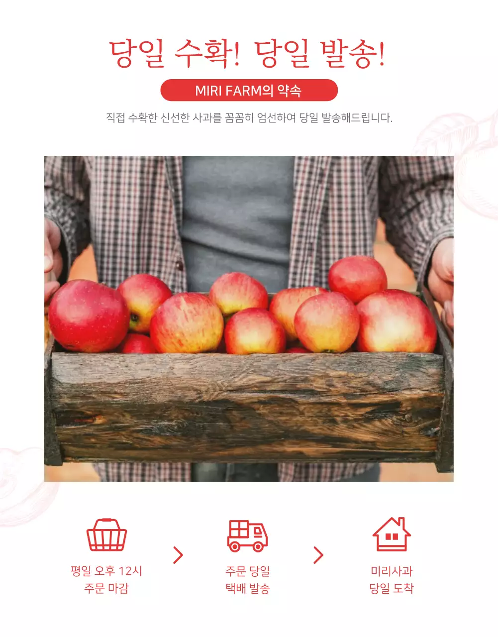 빨강과 흰색의 자연적인 사과 판매 홍보