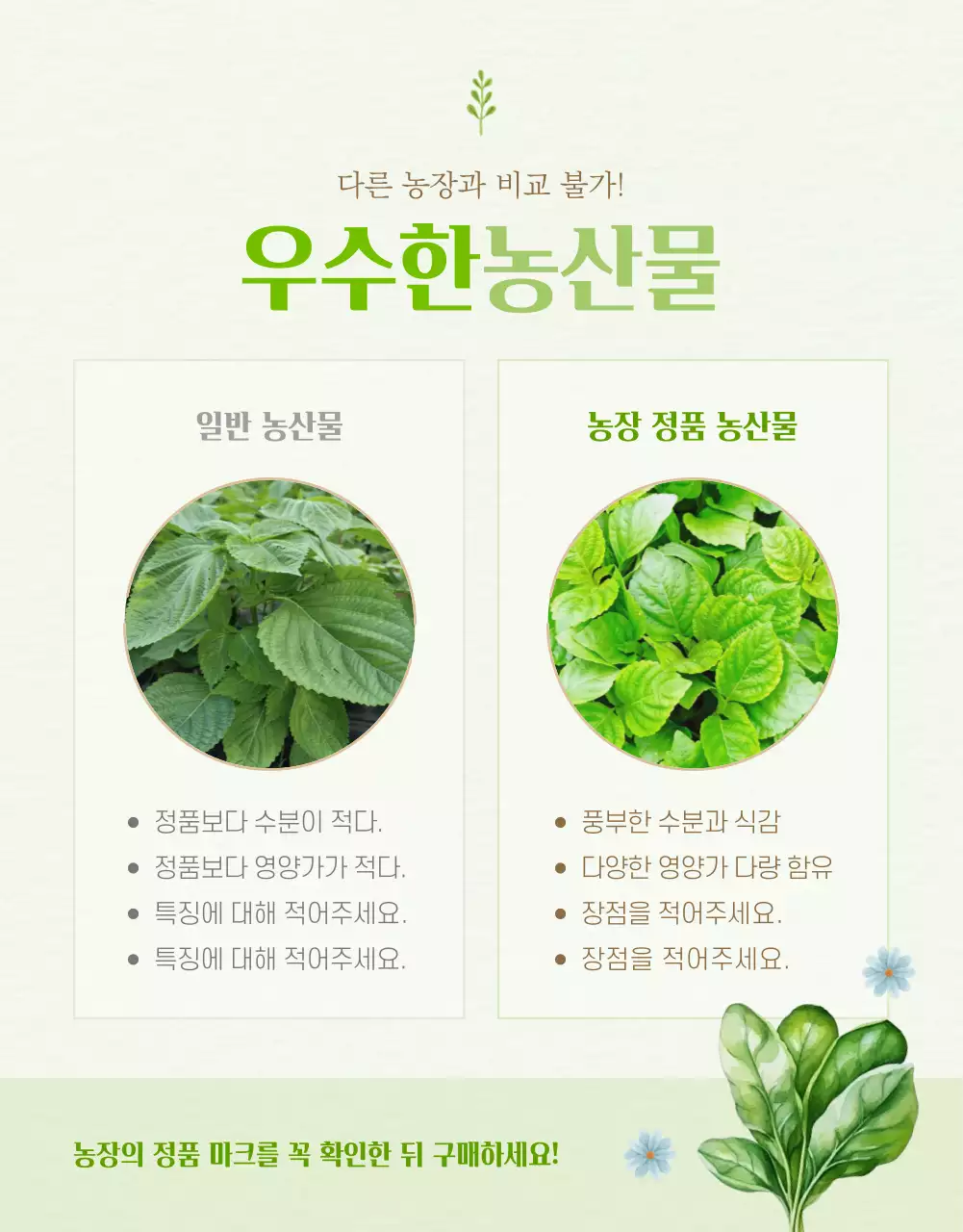 연두색과 노랑의 아기자기한 농산물 판매 설명