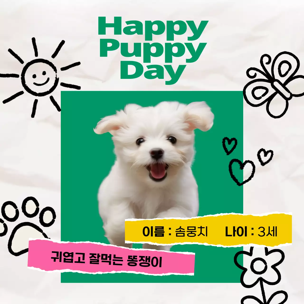 노랑과 초록색의 키치한 강아지 소개 홍보