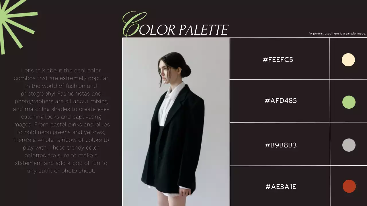 Black Elegant Photography Promotion Presentation