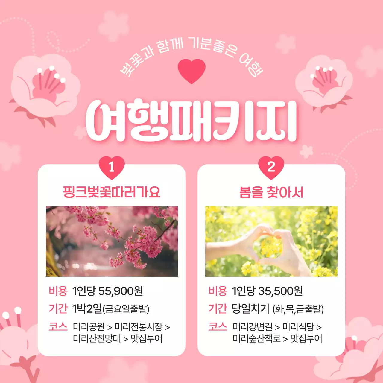 핑크색과 흰색의 아기자기한 벚꽃 명소 소개서