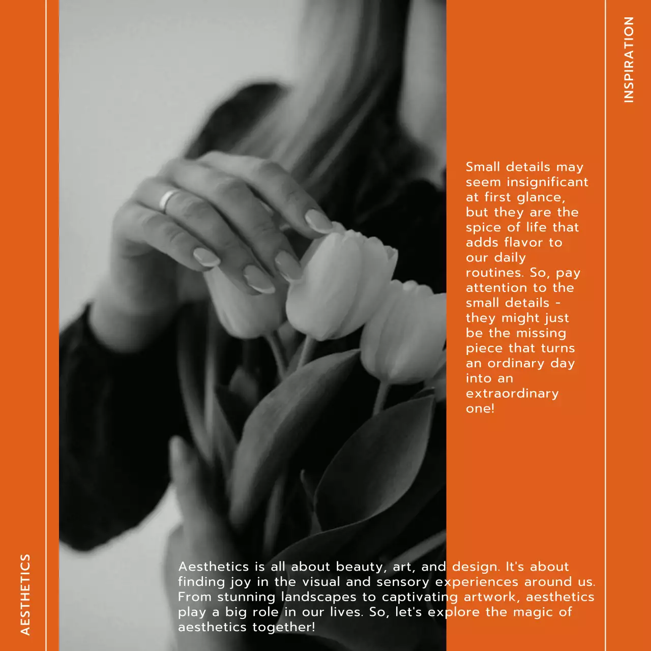 Orange Modern Branding Guide Social Media Post