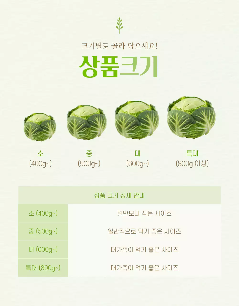 연두색과 노랑의 아기자기한 농산물 판매 설명