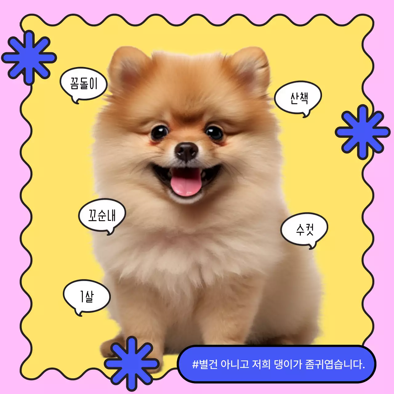 파랑과 노랑의 기본적인 강아지 소개 홍보