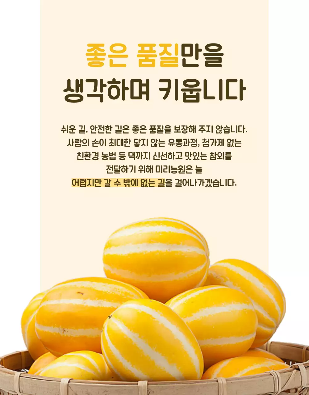 노랑의 심플한 신선식품 과일 홍보