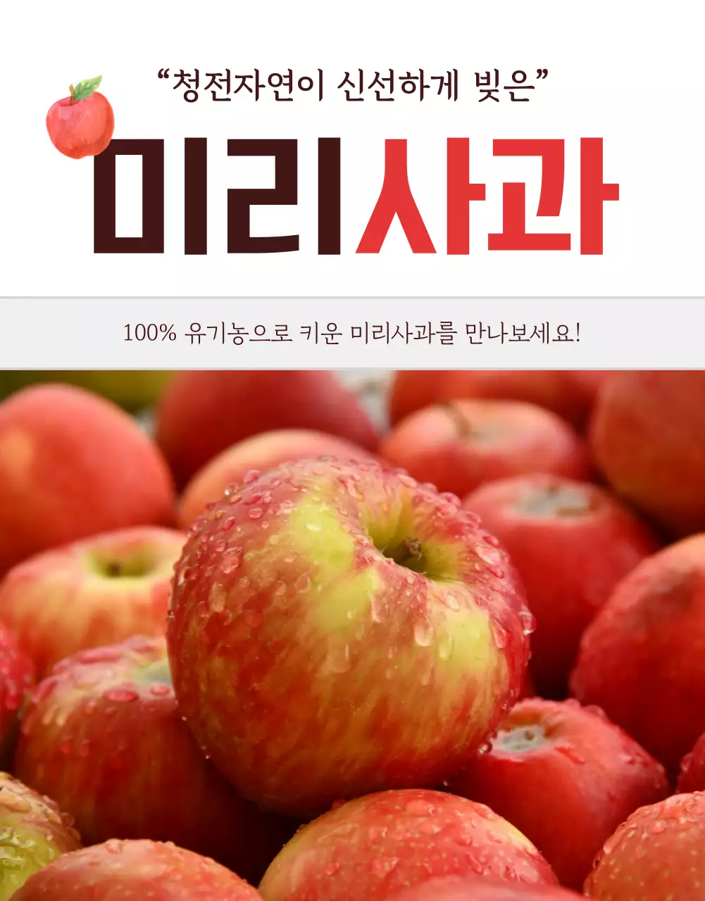 빨강과 회색의 자연컨셉 사과 판매 홍보