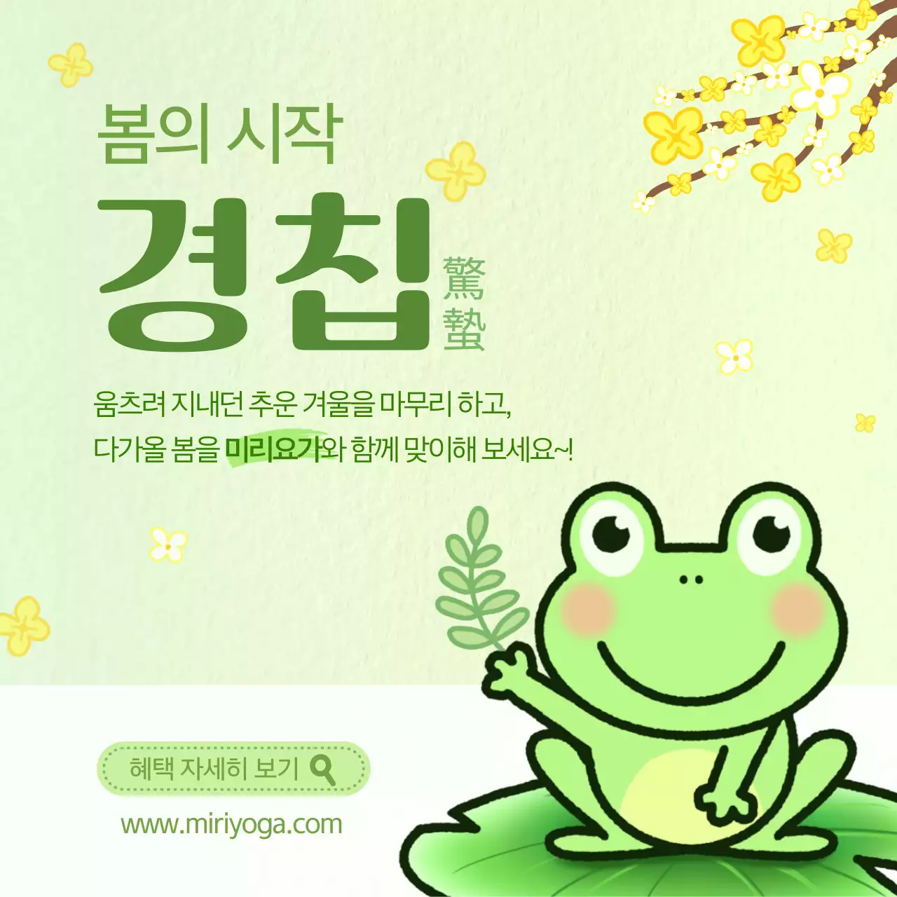 그린톤의 귀여운 경칩맞이 요가 혜택 광고