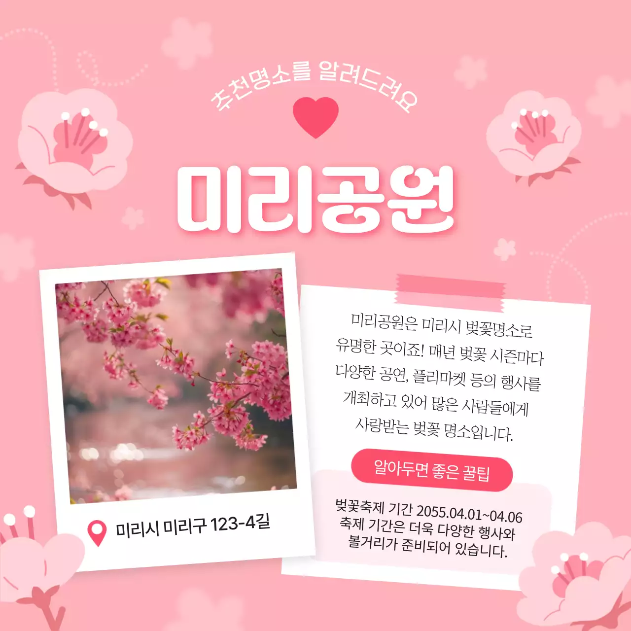 핑크색과 흰색의 아기자기한 벚꽃 명소 소개서