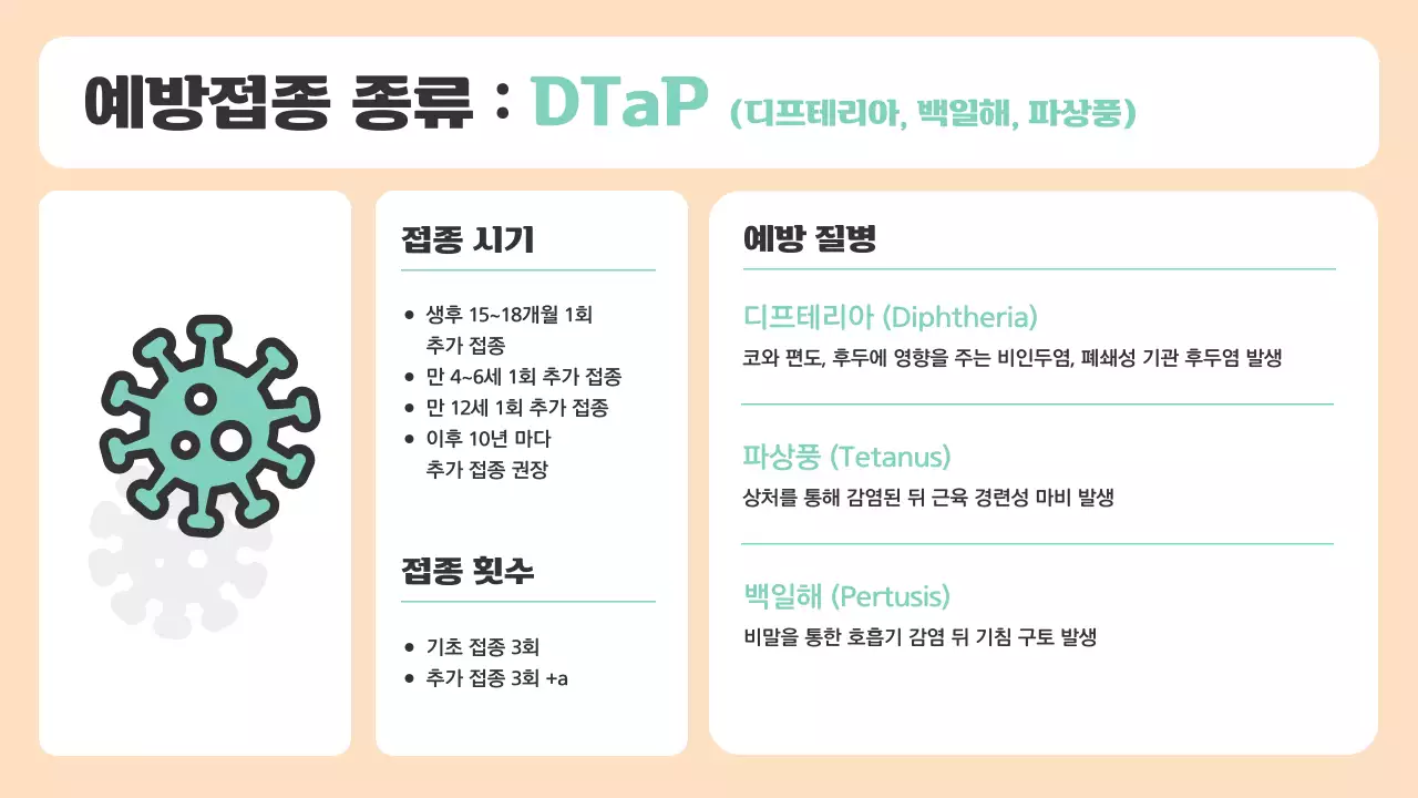 베이지색과 민트색의 아기자기한 예방접종 안내 소개서