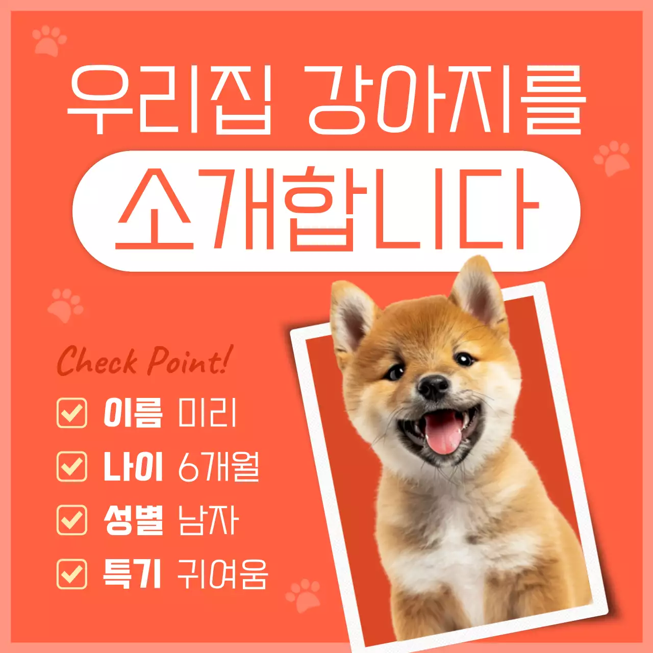 주황색의 아기자기한 우리집 강아지 소개서
