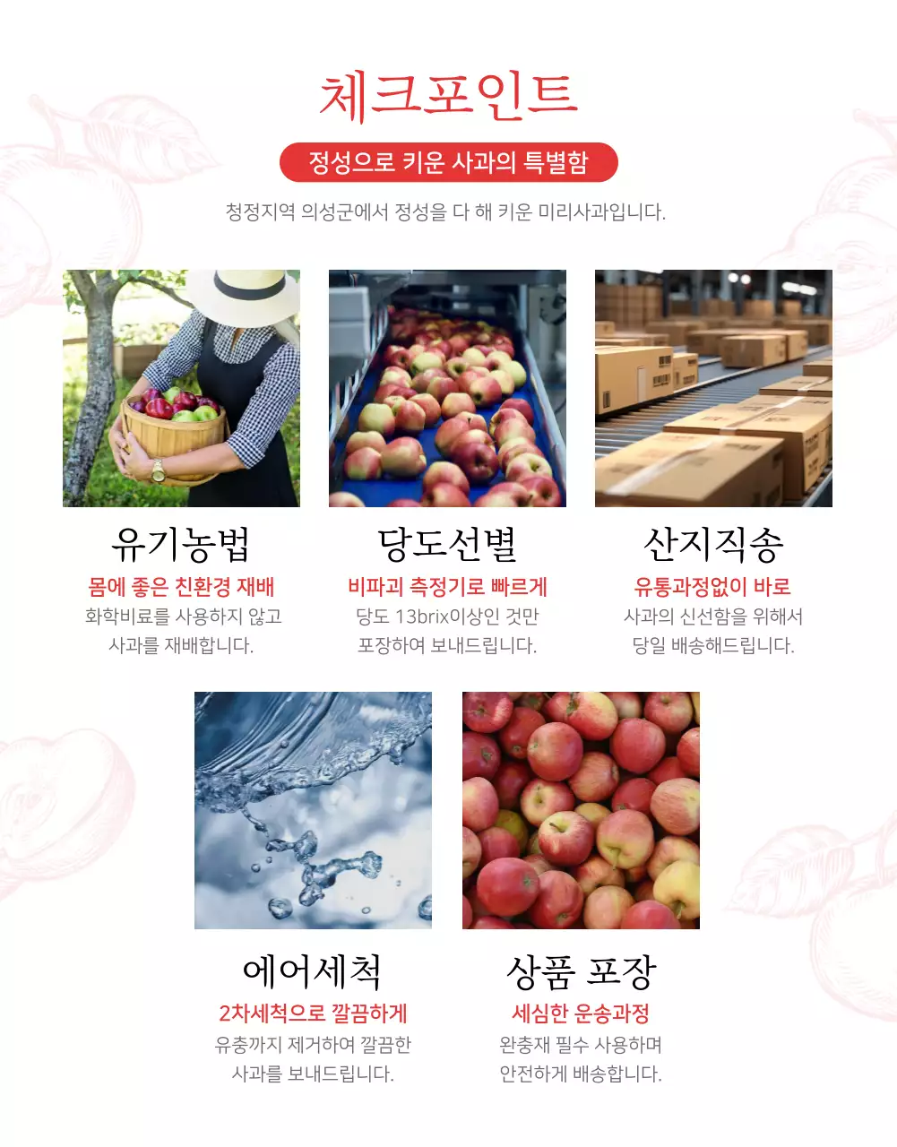 빨강과 흰색의 자연적인 사과 판매 홍보