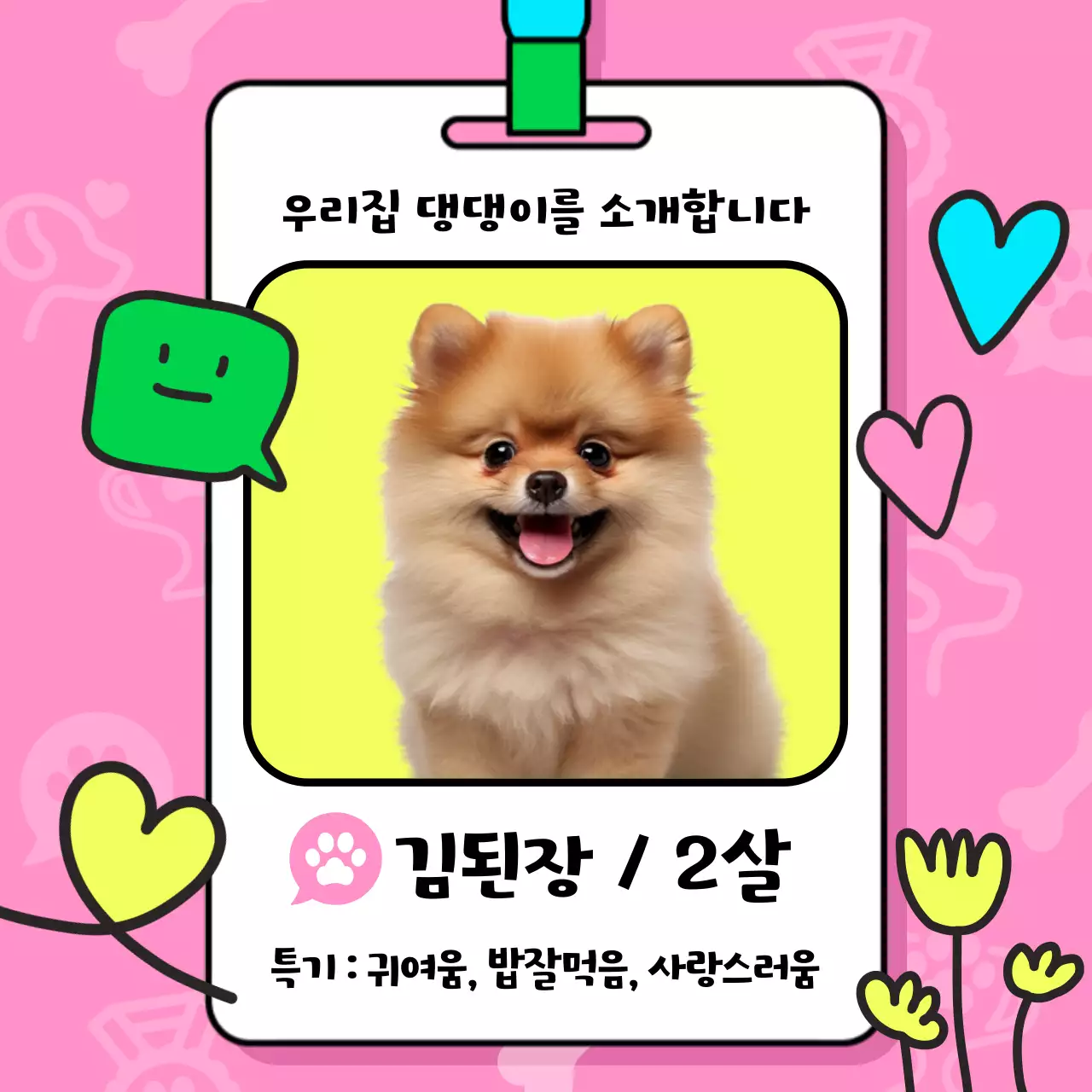 노랑과 핑크색의 키치한 강아지 소개 홍보