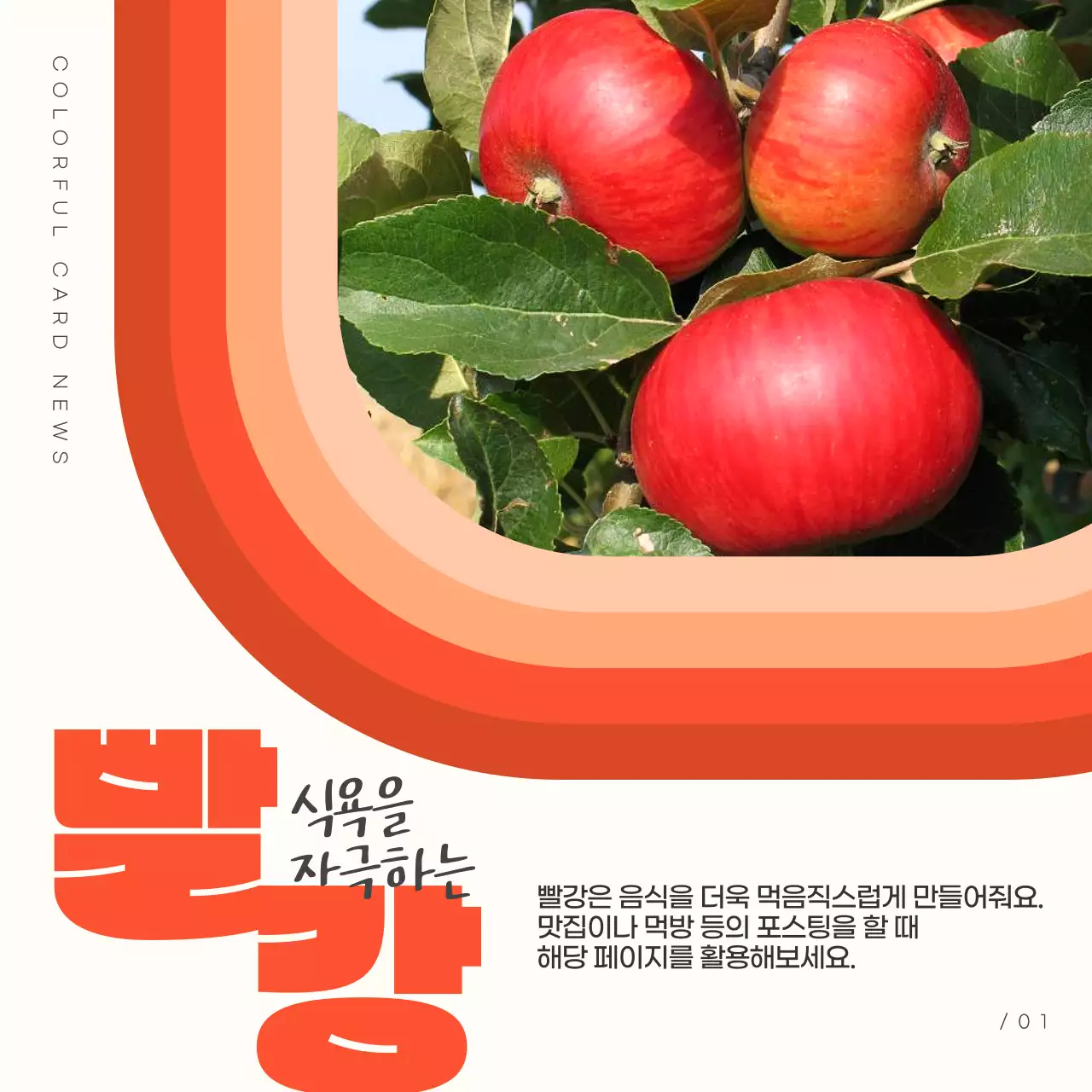 무지개색의 팝아트적인 SNS 카드뉴스 표지