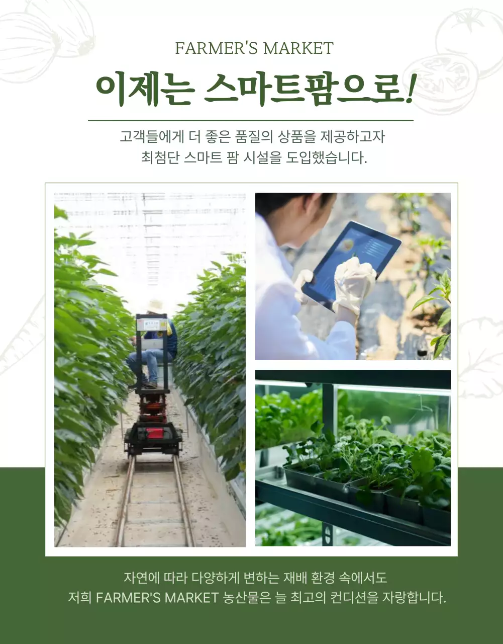 초록색 자연의 농산물 판매 상세페이지 홍보