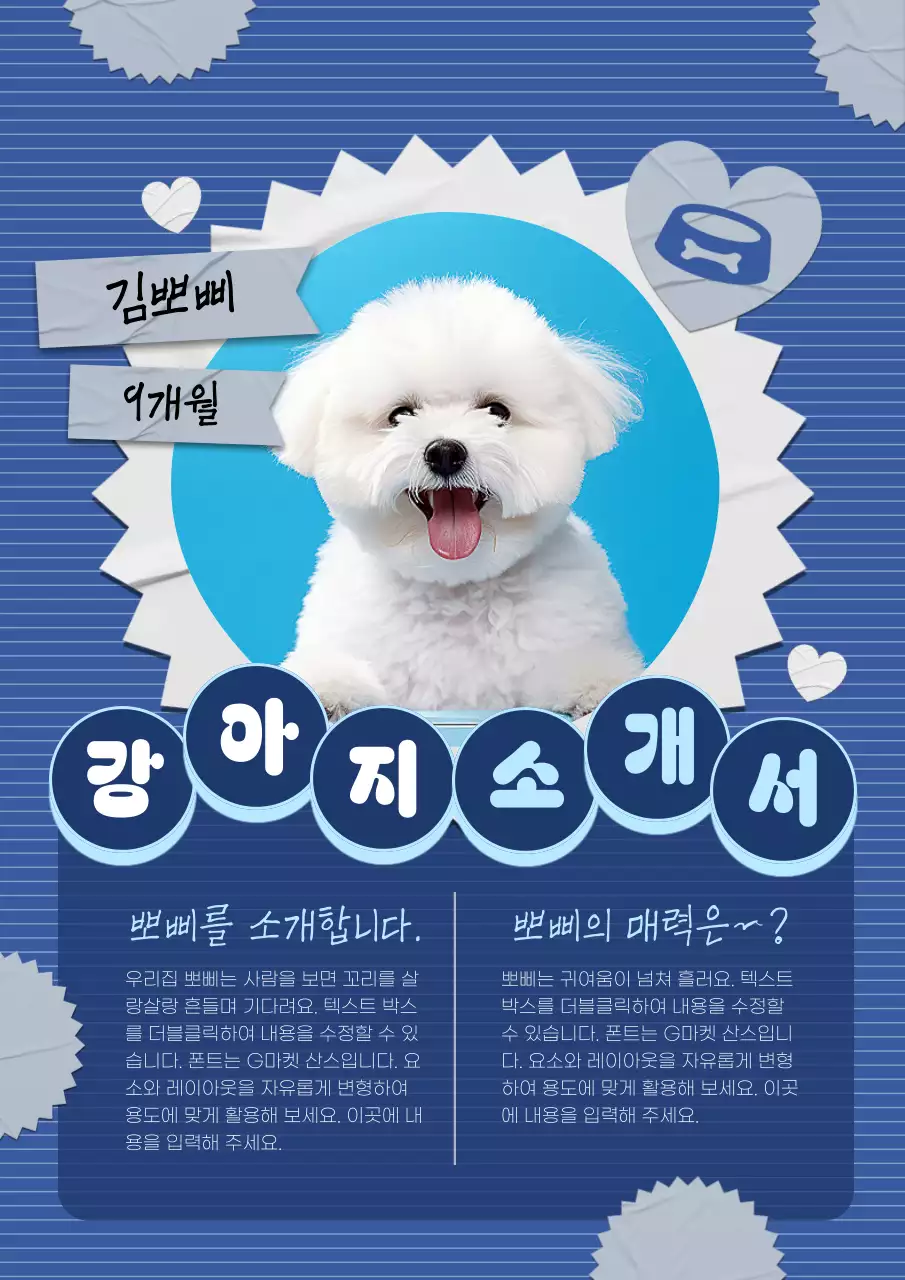 남색과 회색의 아기자기한 강아지 소개서 게시글