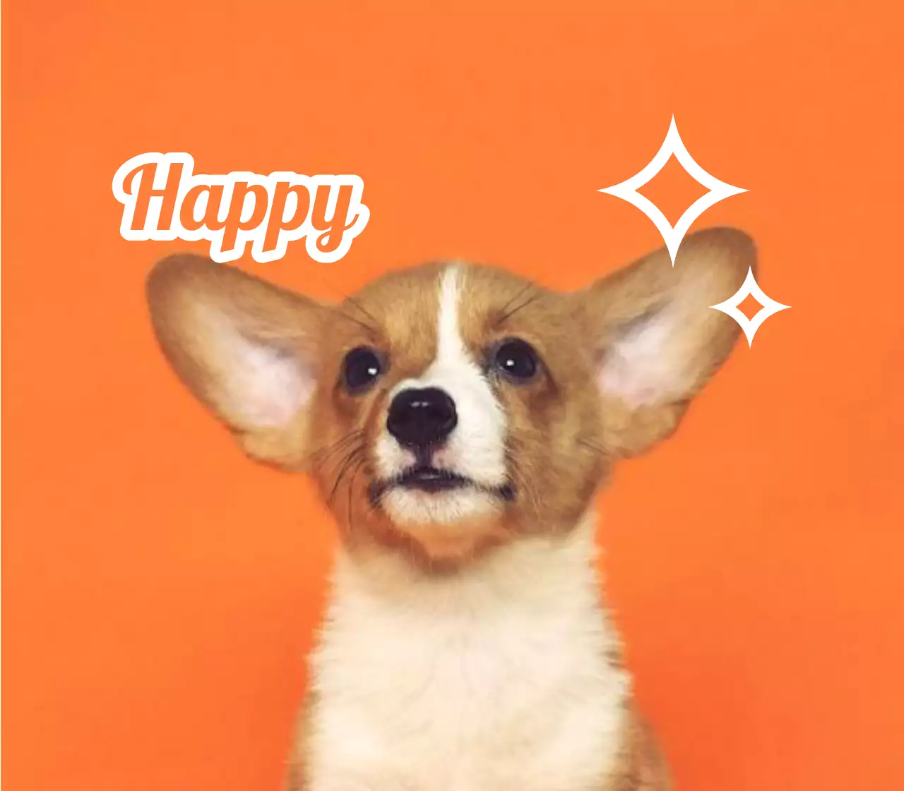 귀여운 동물 사진을 활용한 이름표 디자인