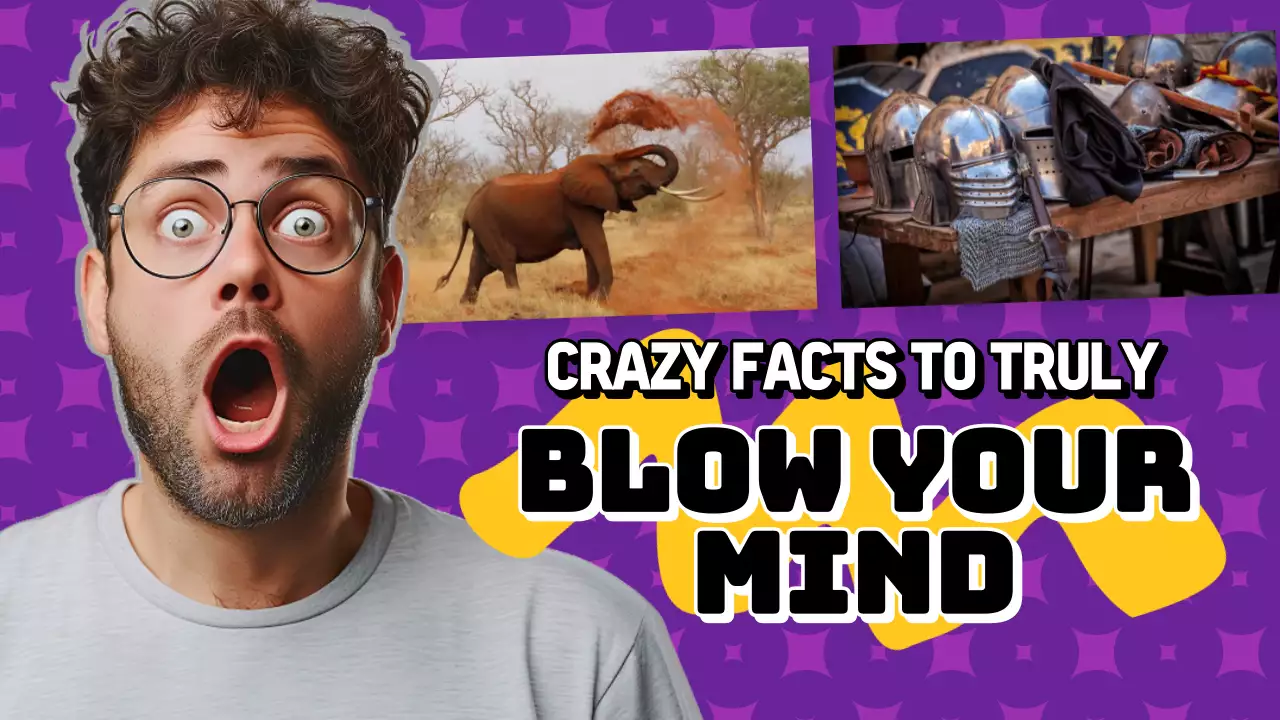 Pengumuman Fakta Retro Ungu Thumbnail YouTube