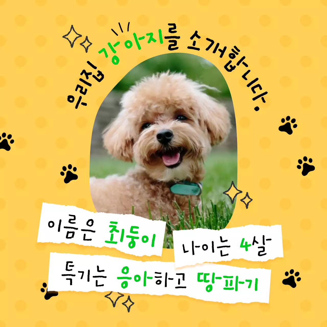 노랑과 초록색의 아기자기한 강아지 소개 게시글