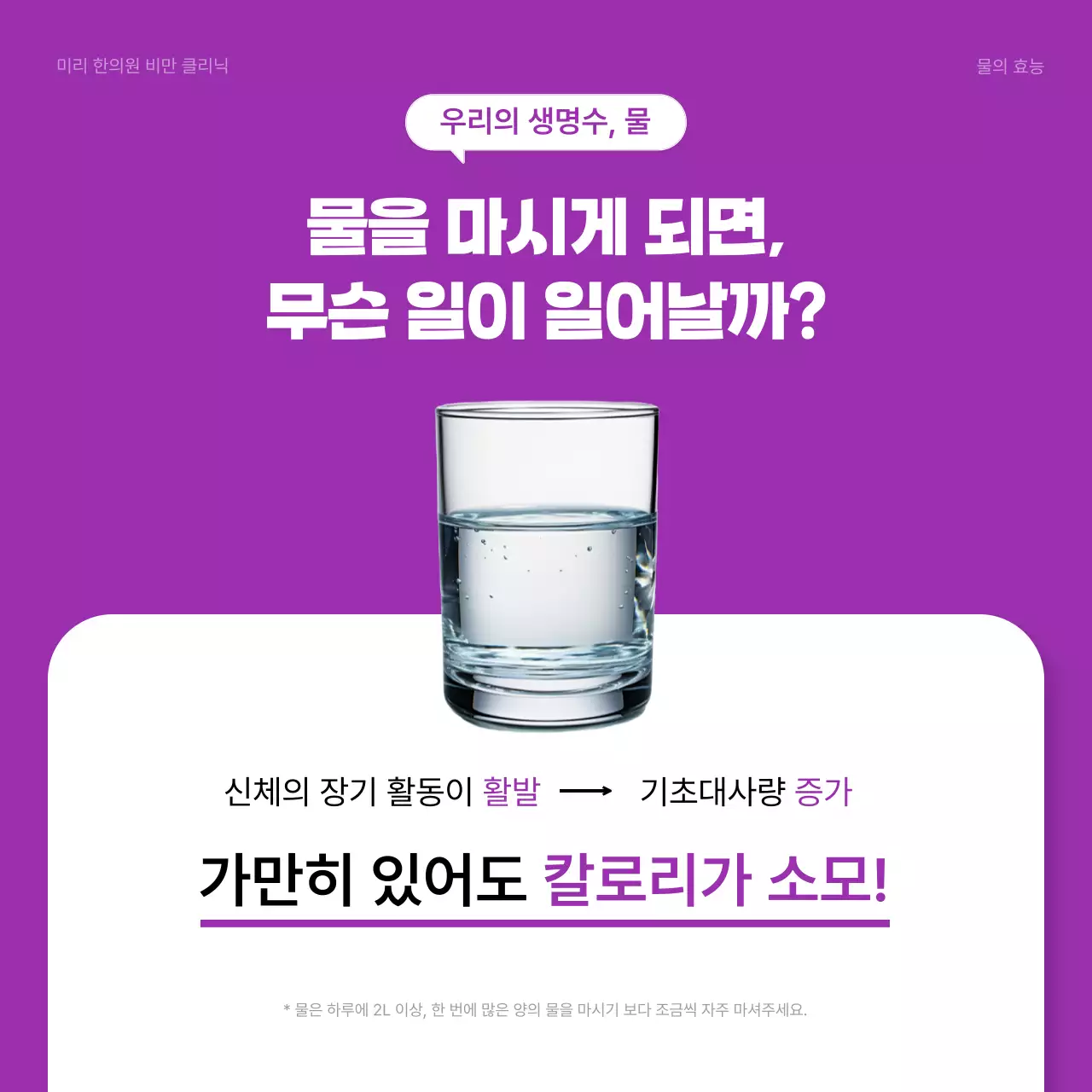 보라색과 연보라색의 모던한 다이어트 정보
