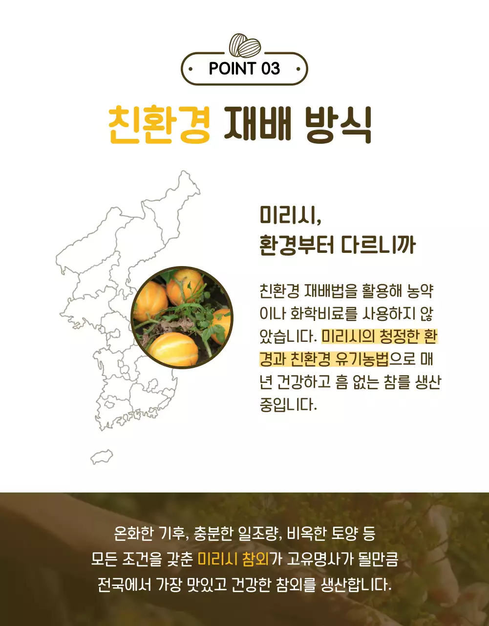 노랑의 심플한 신선식품 과일 홍보