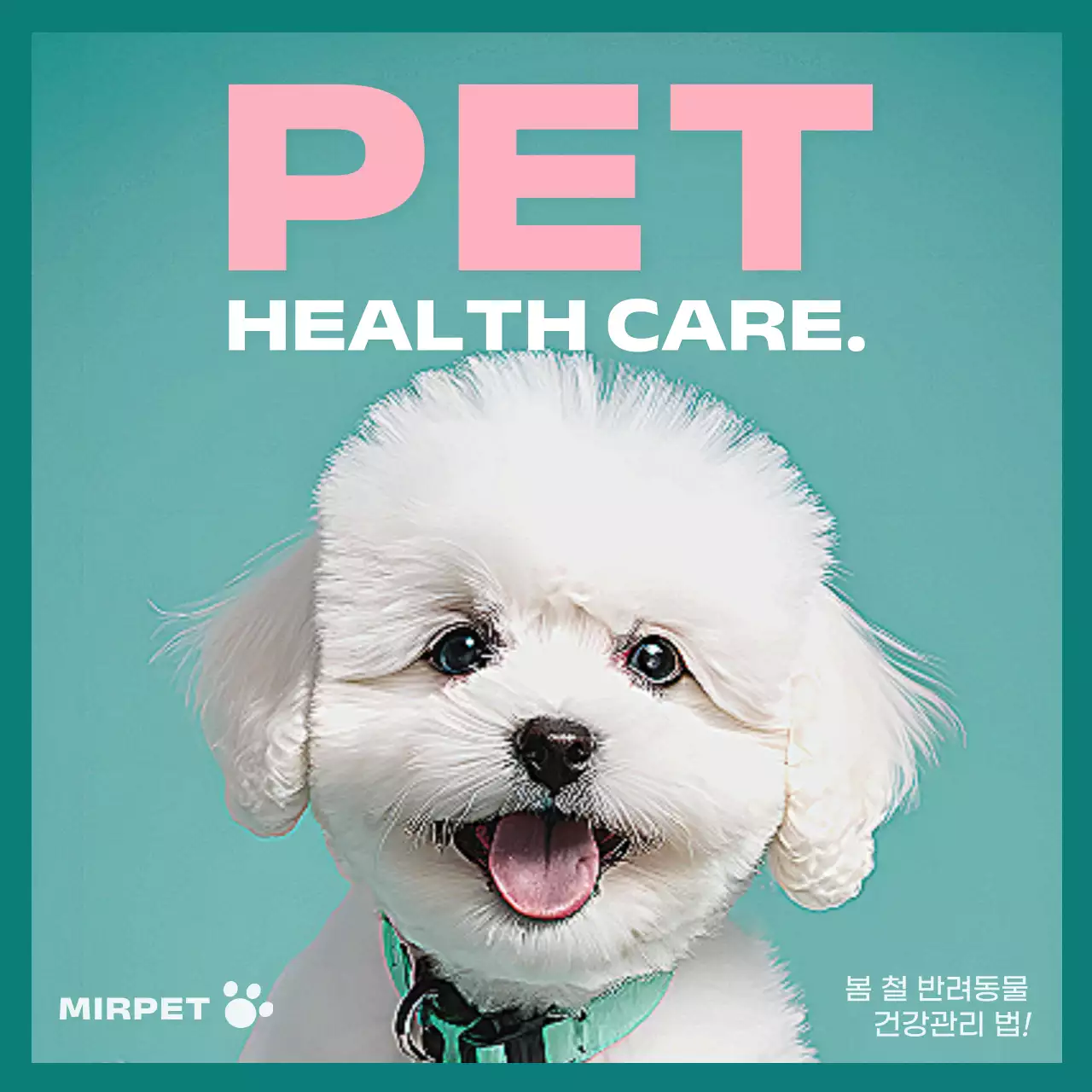 민트와 핑크의 아기자기한 반려동물 건강관리 홍보