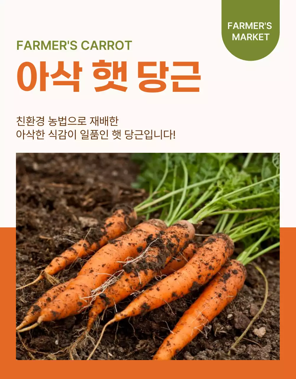 주황색과 초록색의 심플한 당근 판매 홍보