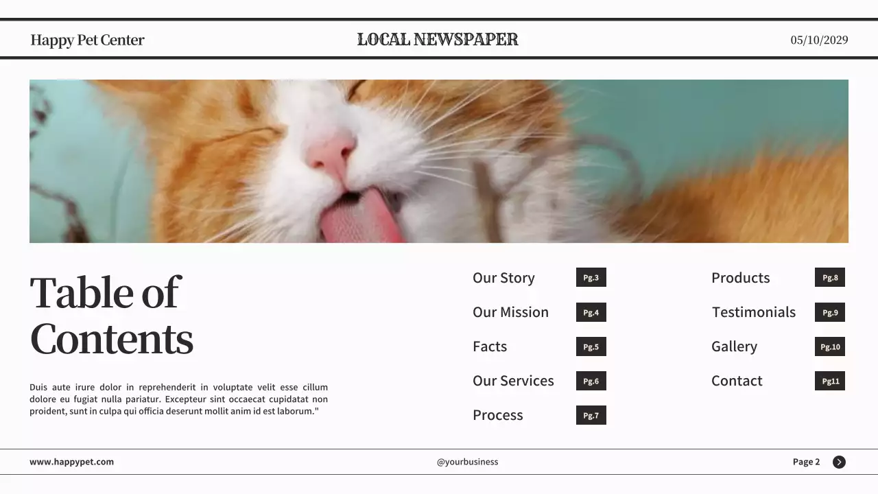 Black Classic Pet News Announcement Presentation