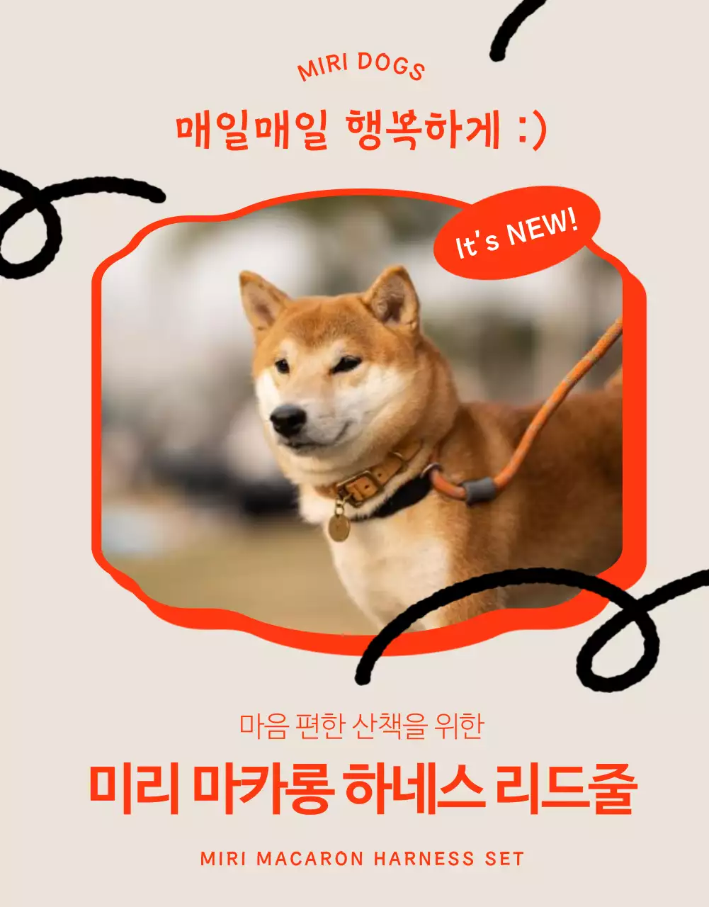 주황색과 검정의 아기자기한 강아지 하네스 소개서