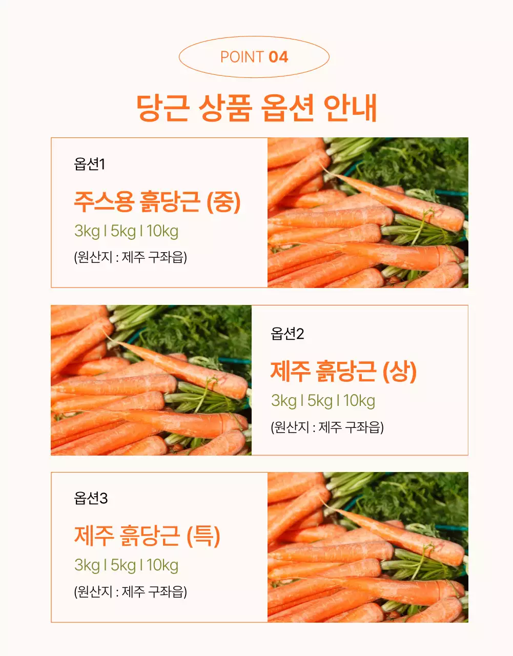 주황색과 초록색의 심플한 당근 판매 홍보