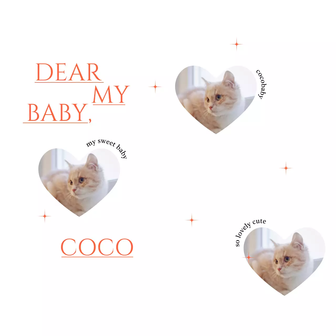 고양이 하트 사진과 레드색상 반짝이가 있는 사랑스러운 굿즈