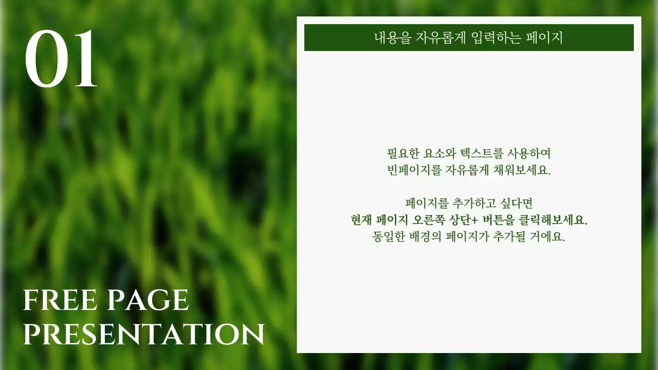 초록색과 하늘색의 심플한 친환경 자연 배경 발표자료