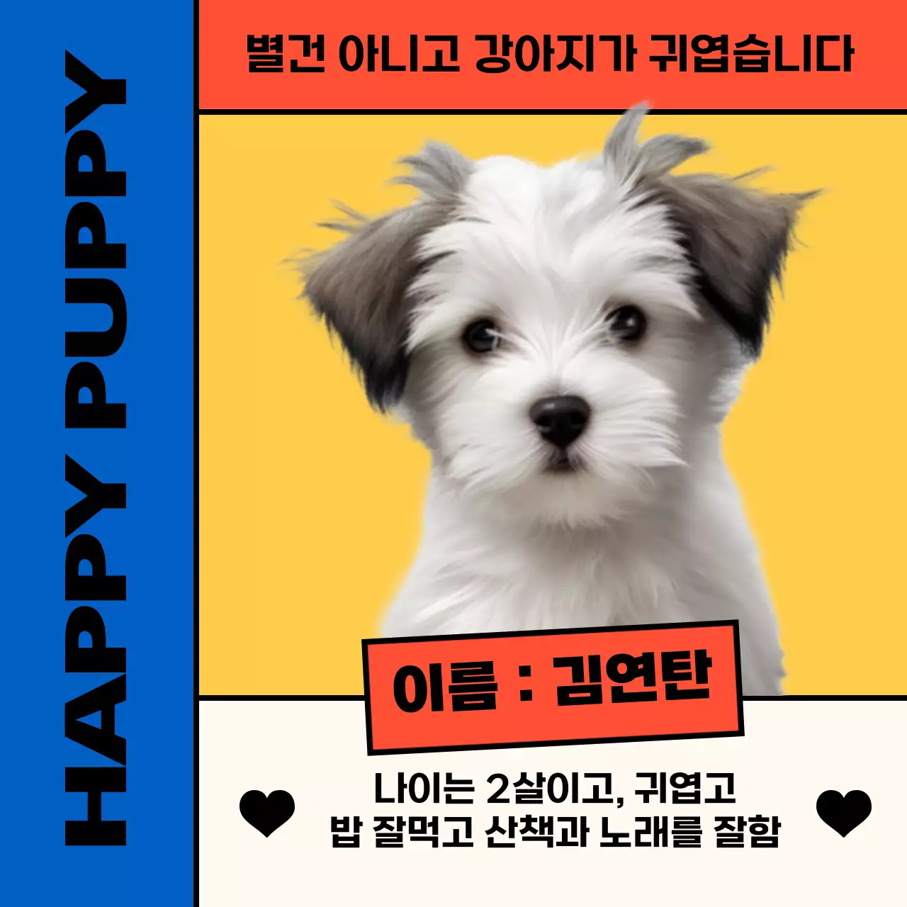노랑과 파랑의 키치한 강아지 소개 홍보